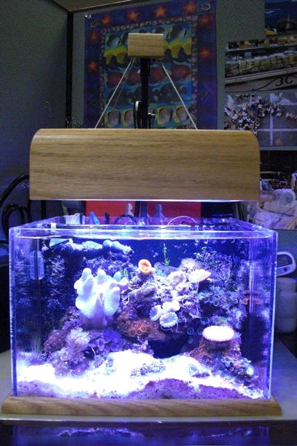 index of hostedfiles aquarium